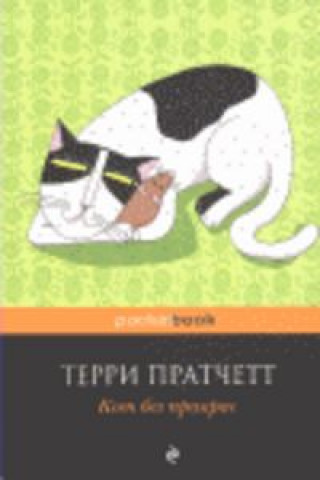 Książka KOT BEZ PRIKRAS PRATCHETT
