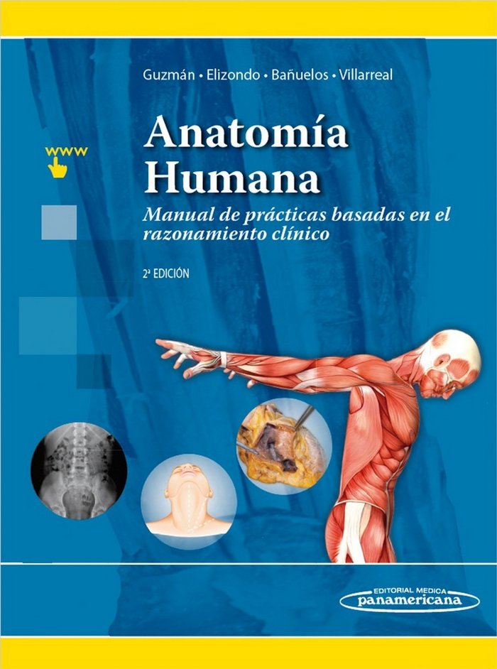 Carte GUZMAN: Anatom'a humana 2aEd GUZMAN