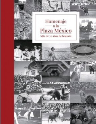 Книга HOMENAJE A LA PLAZA MEXICO SALINAS FLORES