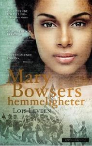 Kniha MARY BOWSERS HEMMELIGHETER LEVEEN LOIS