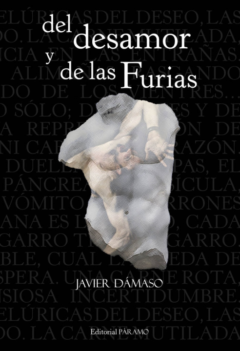 Kniha Del desamor y de las furias Dámaso