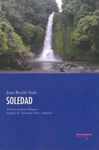 Könyv Soledad RIOCHI SIAFA