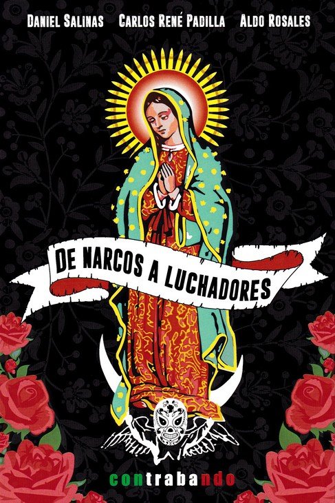 Libro De narcos a luchadores Salinas Besave