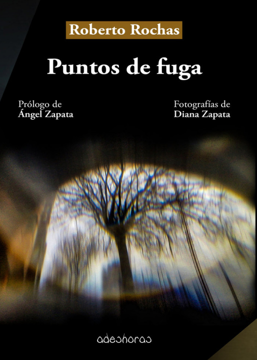 Buch Puntos de fuga Rochas