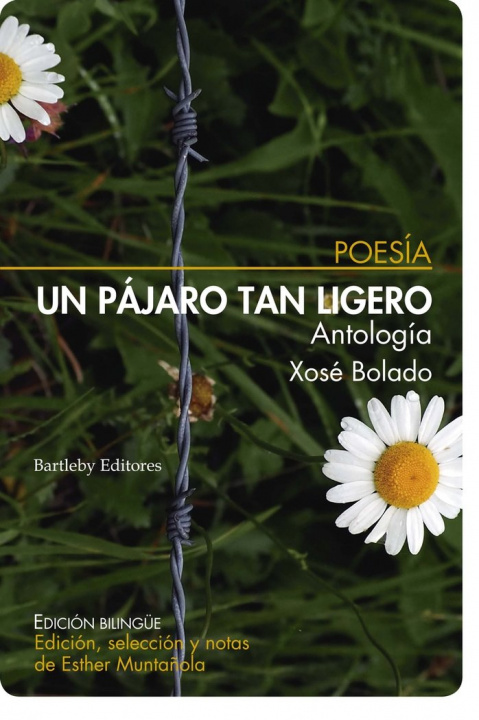 Buch UN PAJARO TAN LIGERO BOLADO