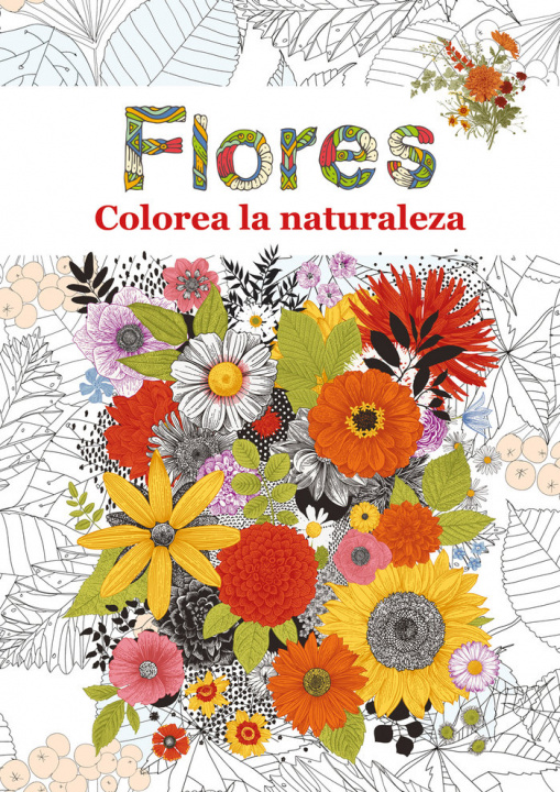 Knjiga FLORES AA