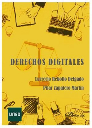 Könyv Derechos digitales Rebollo Delgado