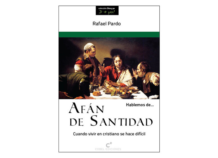 Kniha HABLEMOS DE-- AFAN DE SANTIDAD PARDO FERNANDEZ