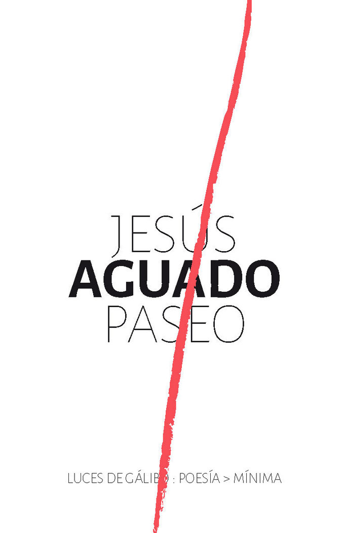 Knjiga PASEO AGUADO