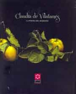 Kniha Claudia de Vilafamés : La poesí¡a del bodegón Salbalat Salanova