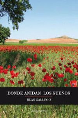 Книга Donde anidan los sueños Gallego Iglesias