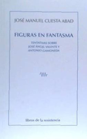 Buch Figuras en fantasma Cuesta Abad