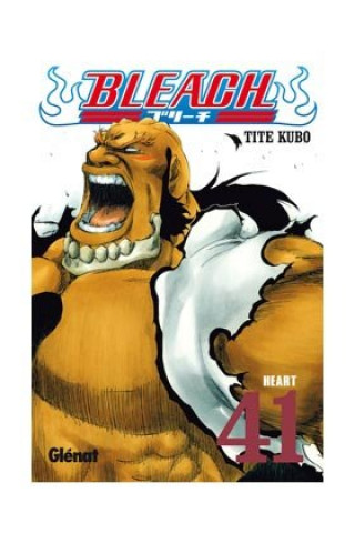 Knjiga BLEACH 54 KUBO