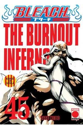 Book Bleach 45 (ed. catalan) KUBO