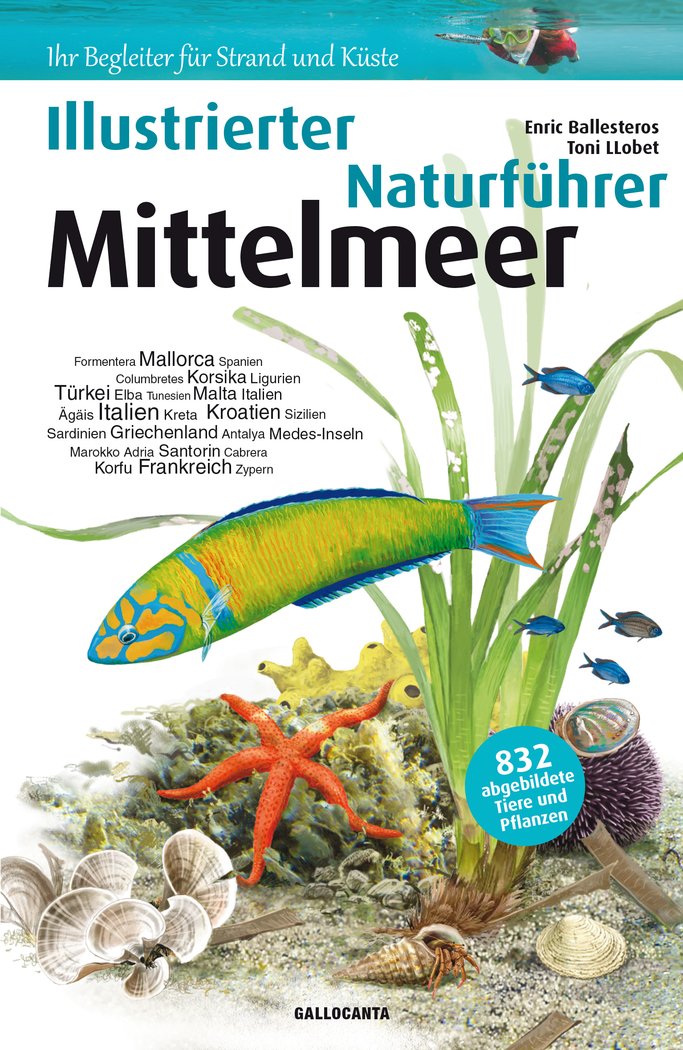 Könyv Illustrierter Naturfürhrer Mittelmeer Ballesteros Sagarra
