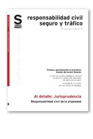 Könyv Responsabilidad civil de la propiedad EDITORIAL SEPIN