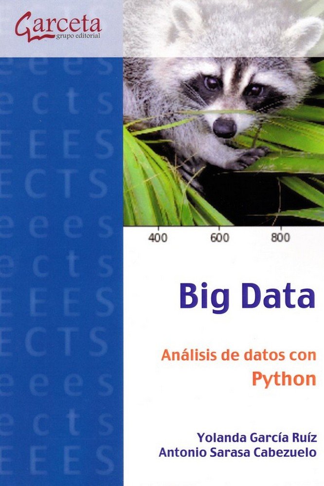 Kniha Big Data García Ruiz
