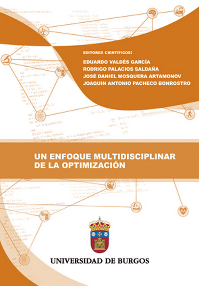 Könyv Un enfoque multidisciplinar de la optimización 