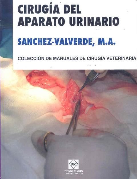 Kniha CIRUGIA DEL APARATO URINARIO SÁNCHEZ-VALVERDE GARCIA