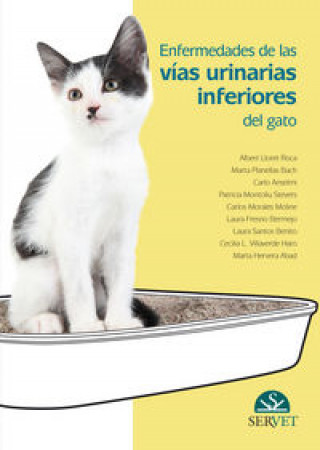Könyv Enfermedades de las vías urinarias inferiores del gato Lloret Roca