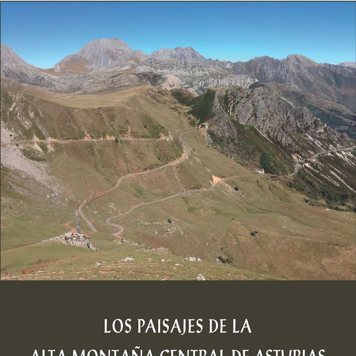 Kniha Los paisajes de la alta montaña central de Asturias Martínez Fernández