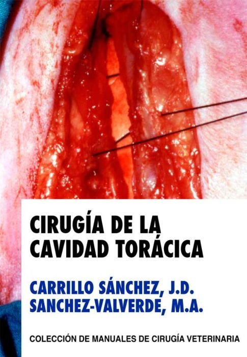 Kniha CIRUGIA DE LA CAVIDAD TORACICA CARRILLO SANCHEZ