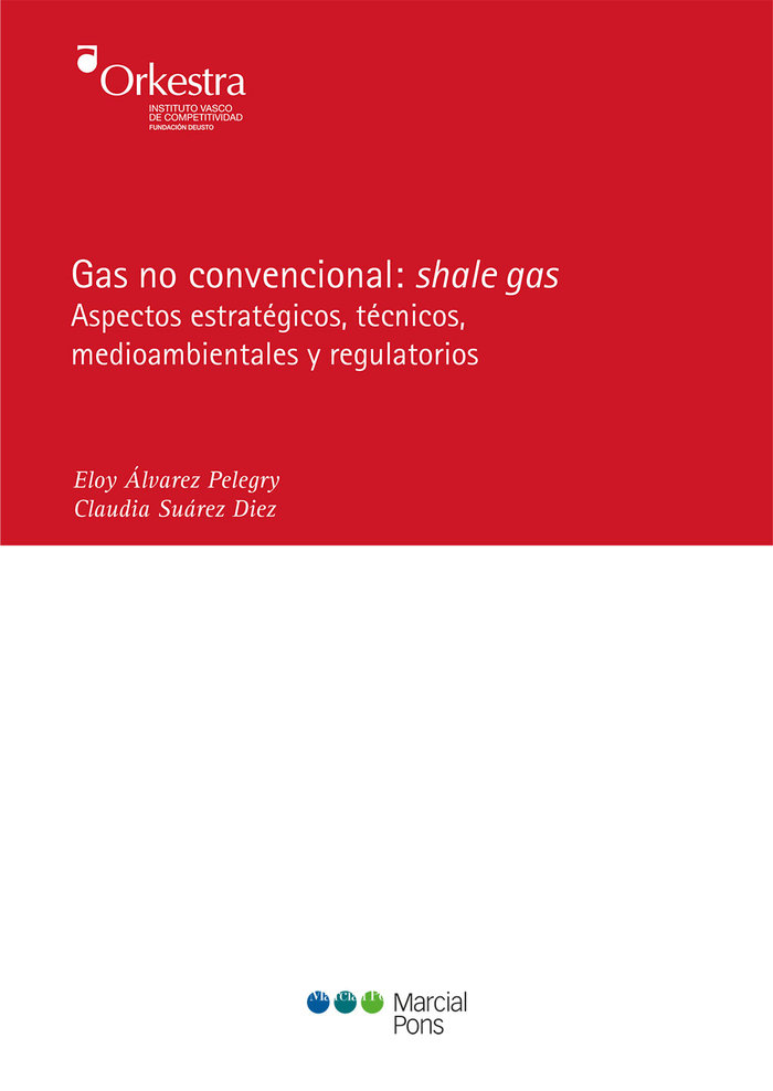 Könyv Gas no convencional: shale gas Álvarez Pelegry