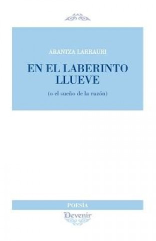 Книга En el laberinto llueve Larrauri Mínguez