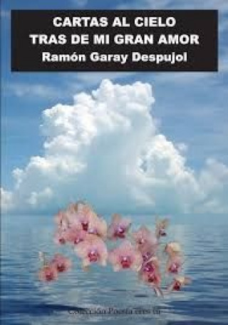 Kniha Cartas al cielo tras de mi gran amor Garay Despujol