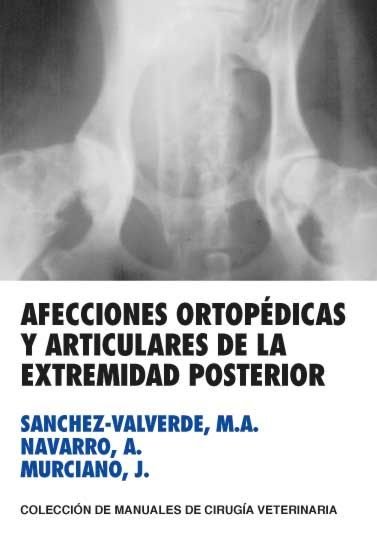 Carte AFECCIONES ORTOPEDICAS Y ARTICULARES DE LA EXTREMIDAD POSTERIOR SANCHEZ-VALVERDE GARCIA