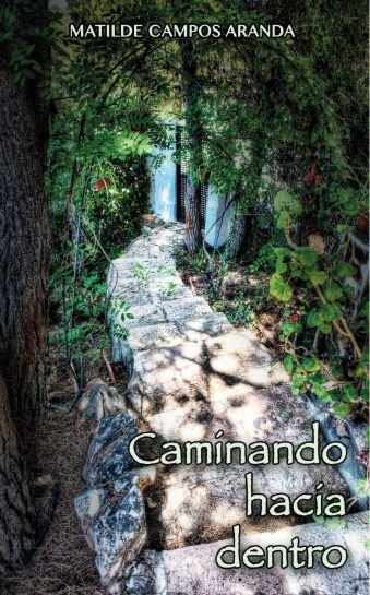 Kniha CAMINANDO HACIA DENTRO CAMPOS ARANDA