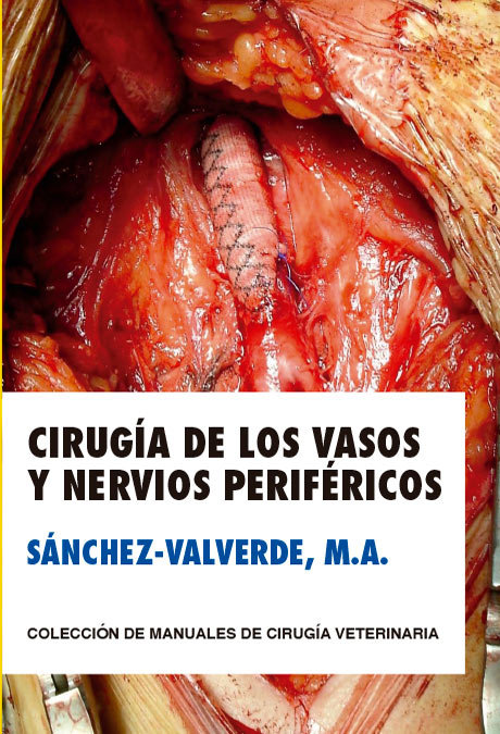 Kniha CIRUGIA DE LOS VASOS Y NERVIOS PERIFERICOS SANCHEZ-VALVERDE GARCIA