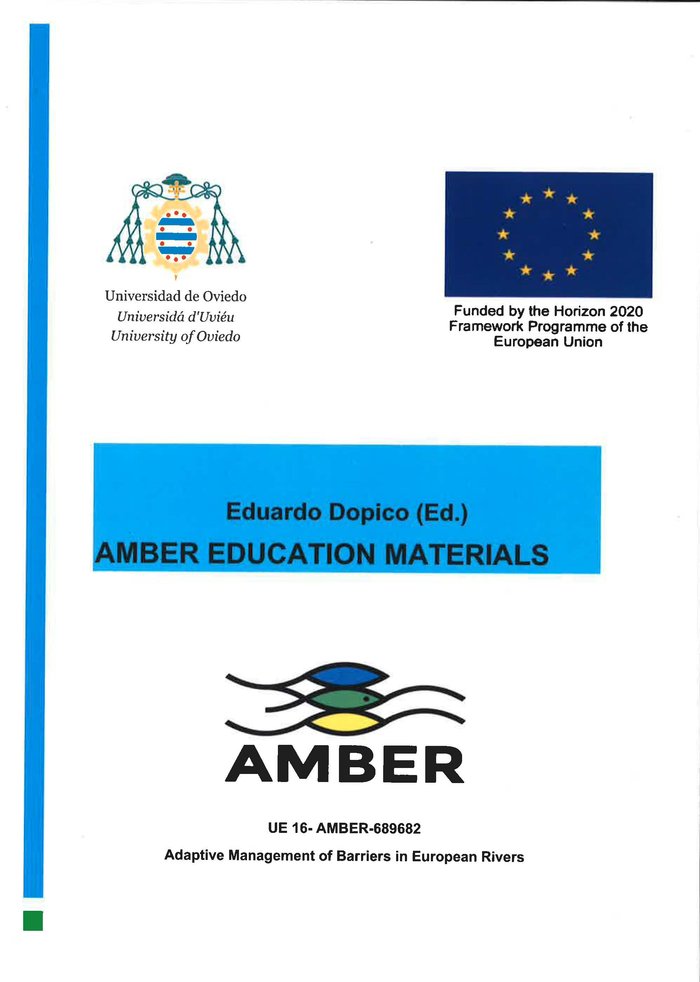 Knjiga AMBER EDUCATION MATERIALS 