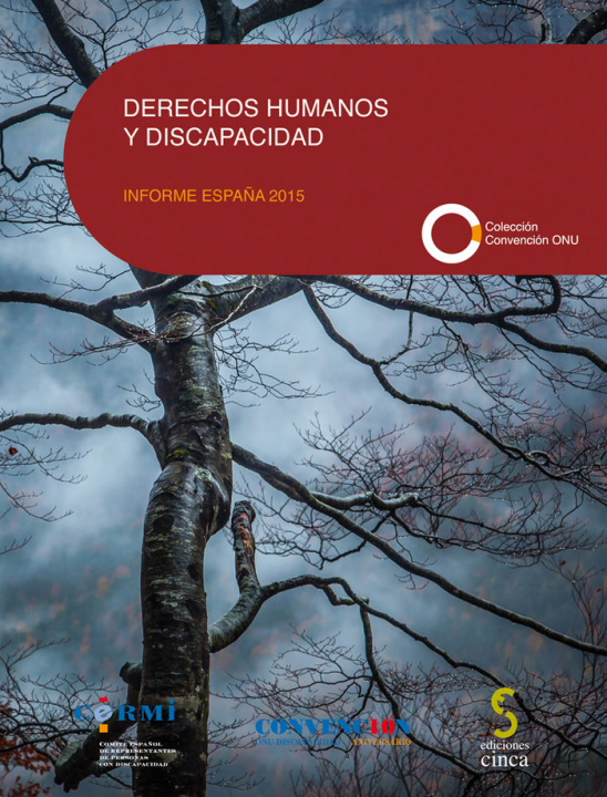 Книга Derechos humanos y discapacidad 