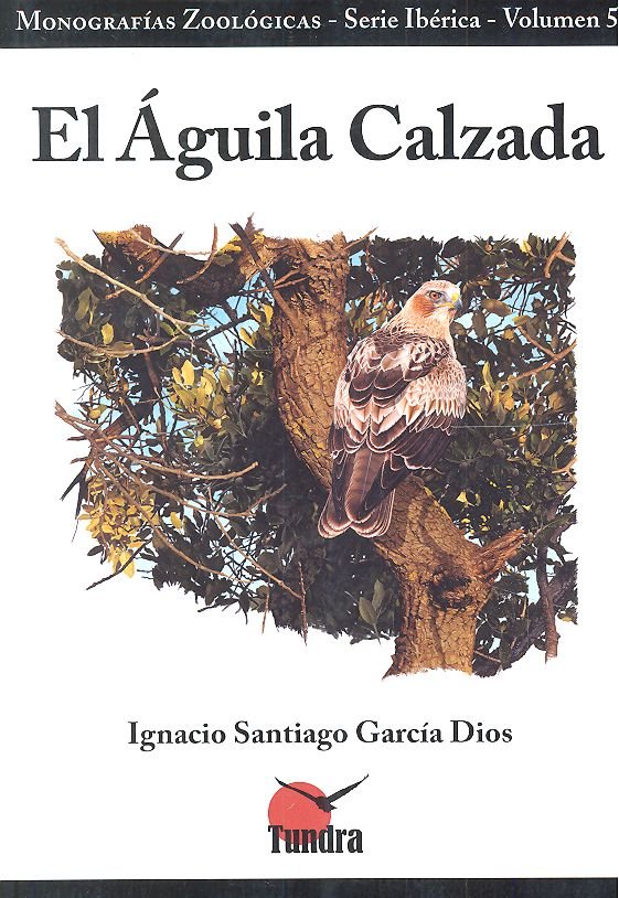 Książka AGUILA CALZADA,EL GARCIA DIOS