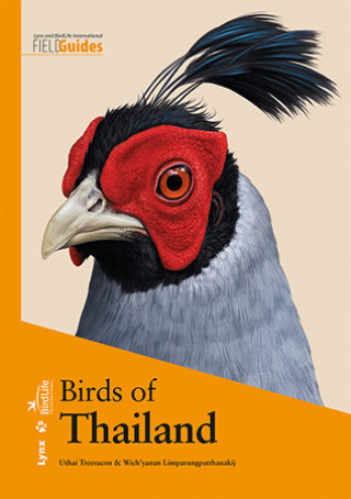 Kniha Birds of Thailand Treesucon