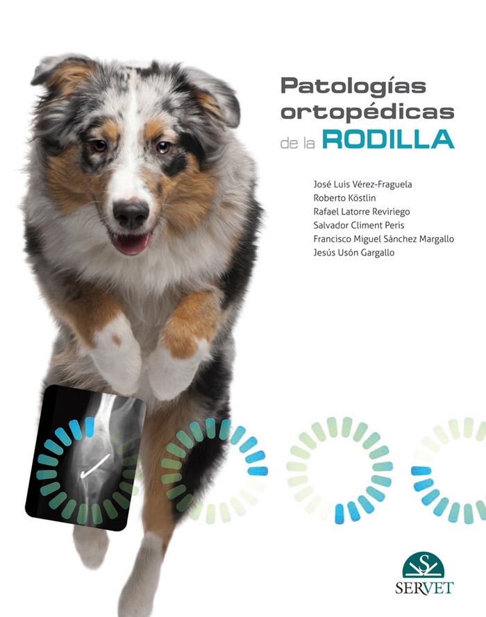 Kniha Patologías ortopédicas de la rodilla Vérez-Fraguela