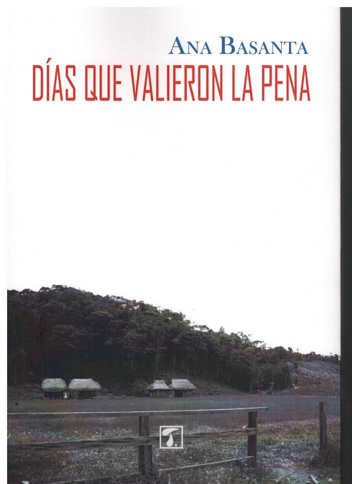 Книга Días que valieron la pena Basanta Díaz