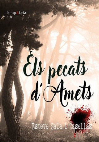 Buch Els pecats d'Amets Sala i Casellas