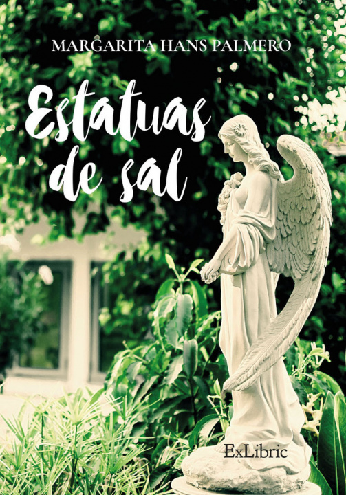 Livro Estatuas de sal Hans Palmero