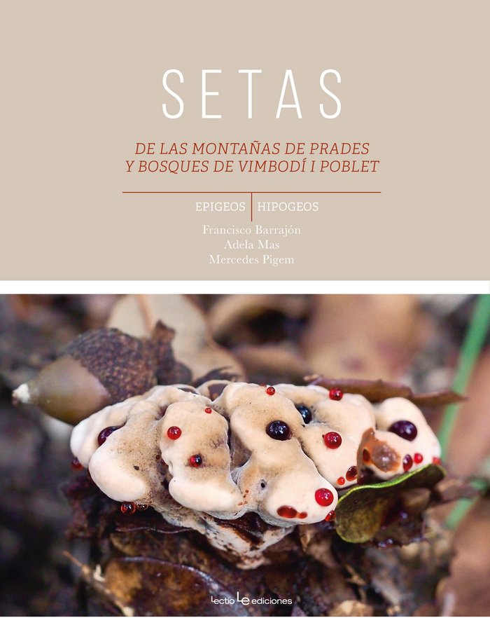 Könyv Setas de las montañas de Prades y bosques de Vimbodí y Poblet Barrajón Ibáñez