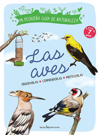 Buch LOS PAJAROS Maud Bihan