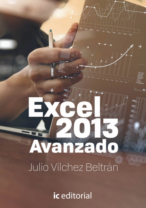 Kniha Excel Avanzado 2013 Vílchez Beltrán