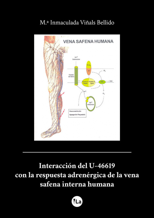 Kniha Interacción del U-46619 con la respuesta adrenérgica de la vena safena interna humana Viñals Bellido