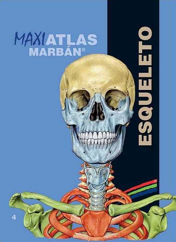 Kniha Maxi Atlas 4 Esqueleto 