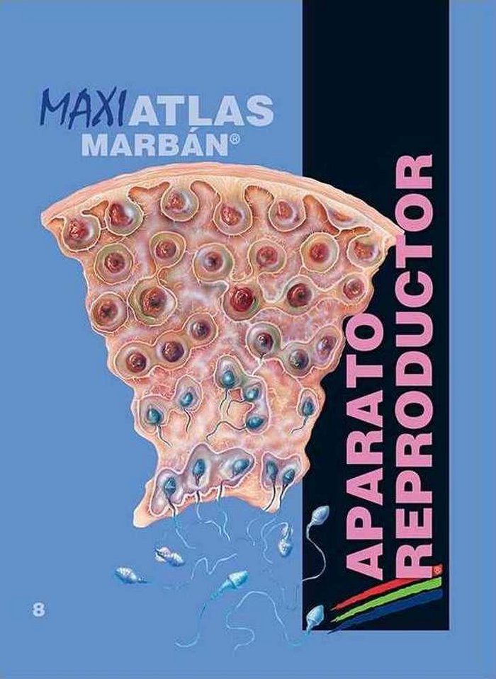 Kniha Maxi Atlas Aparato Reproductor T.8 