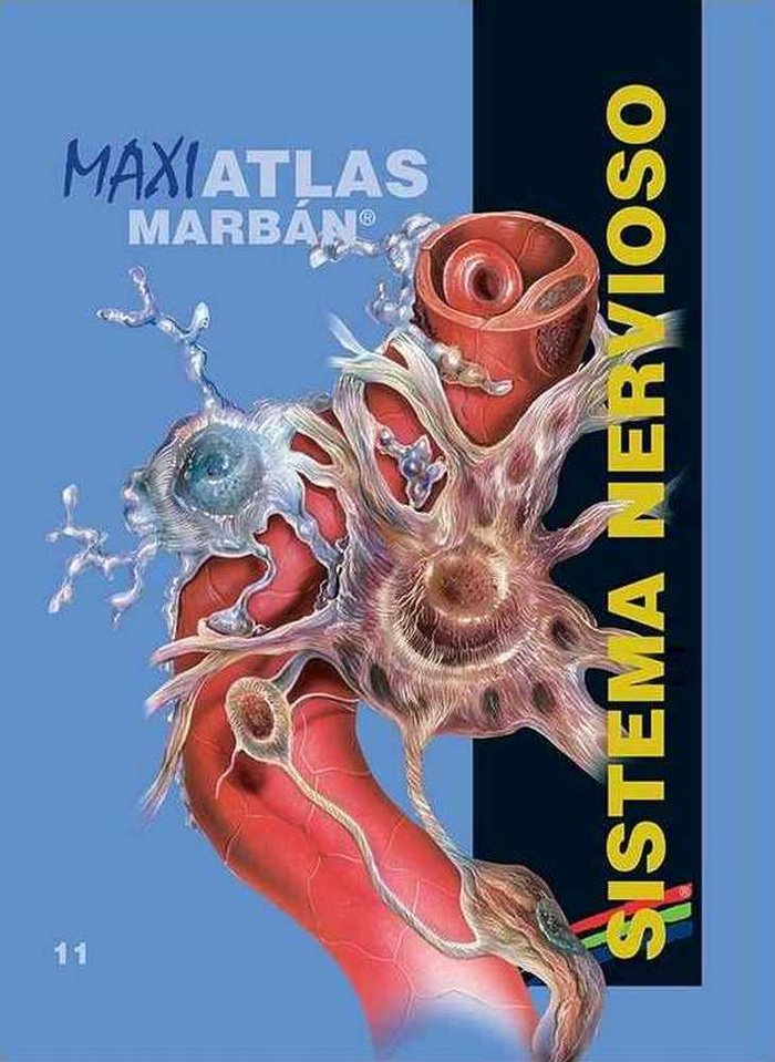 Kniha Maxi Atlas 11 Sistema Nervioso 
