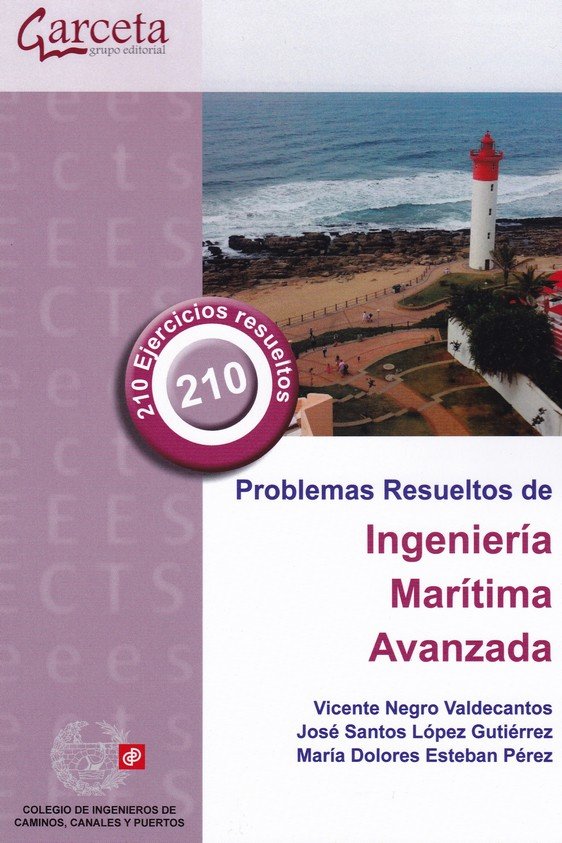 Kniha Problemas resueltos de Ingeniería Marítima Avanzada Negro Valdecantos