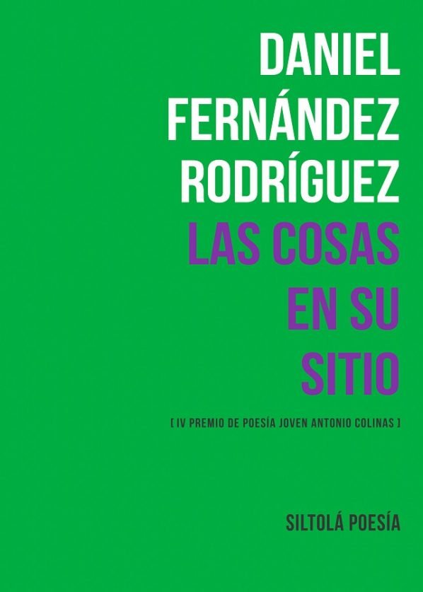 Buch Las cosas en su sitio Fernández Rodríguez