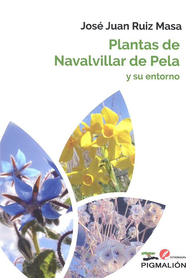 Book PLANTAS DE NAVALVILLAR DE PELA Y SU ENTORNO RUIZ MASA